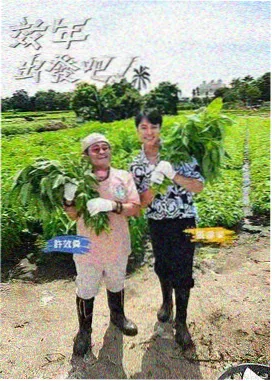 火星影视题材海图动画剧场分类封面